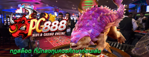 กฎสล็อต ที่นักลงทุนควรศึกษาก่อนเล่น