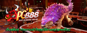 เว็บสล็อต ทำความเข้าใจและใช้งานหลายเพย์ไลน์